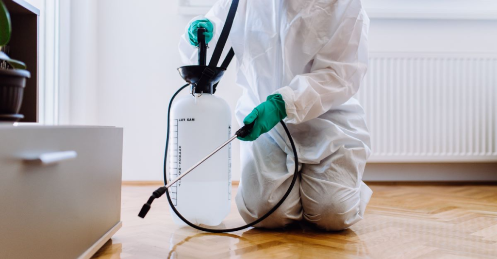 Professional pest control technician conducting treatment